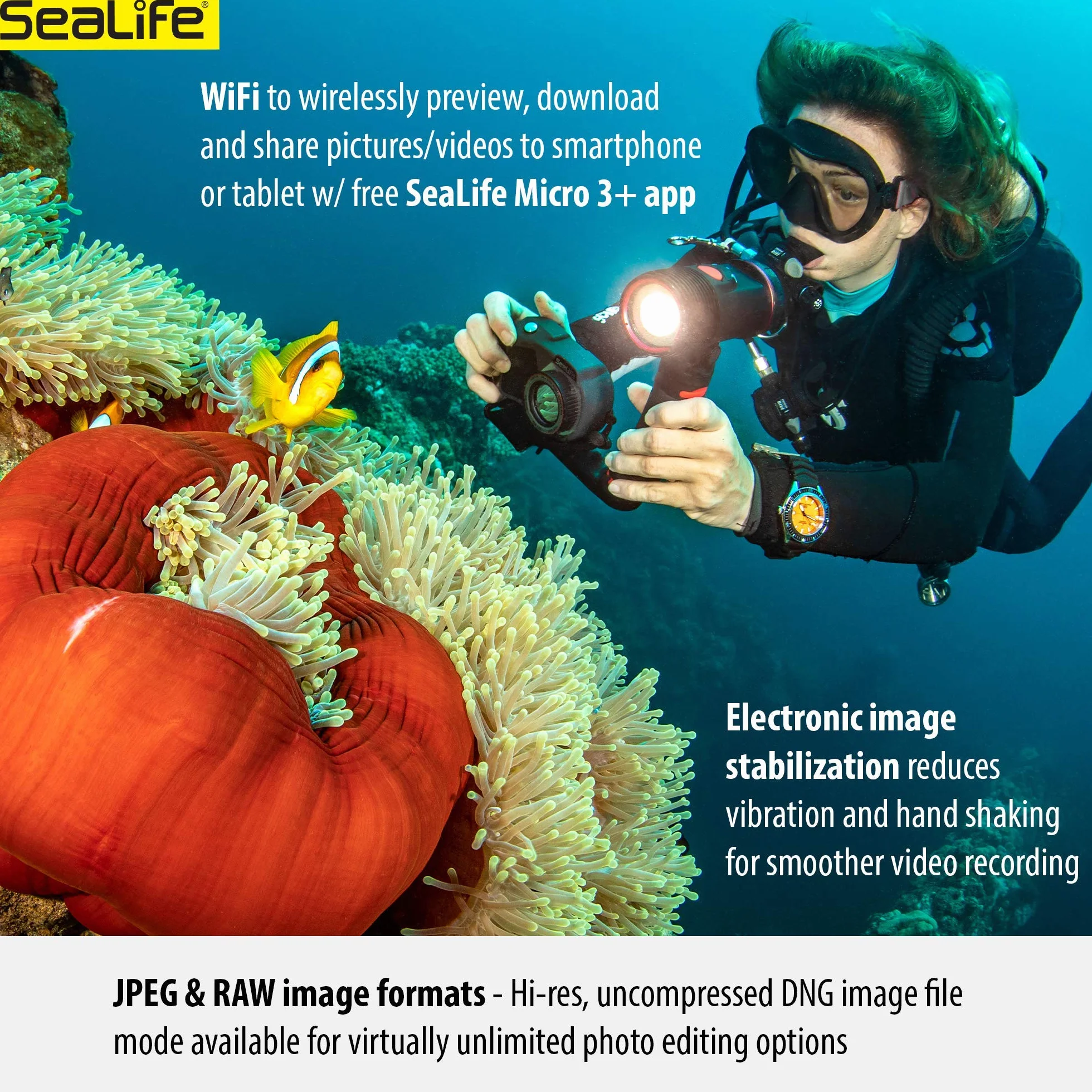 Sealife MICRO 3.0 PRO 3000 zestaw samochodowy